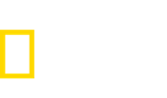 contenidos-logo-3